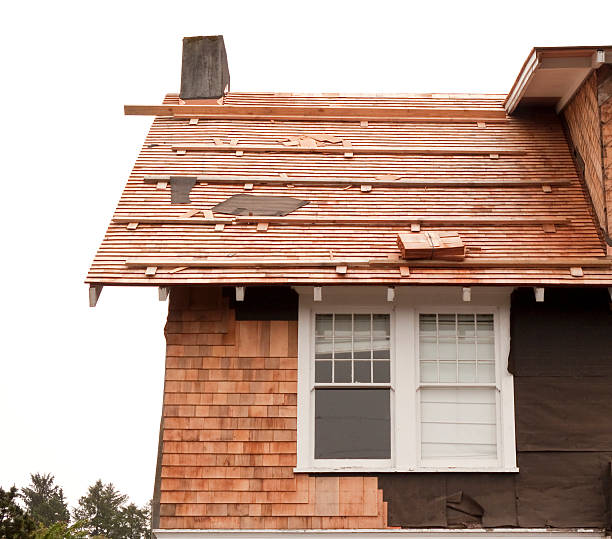 Reliable Shawneetown, IL Siding Solutions